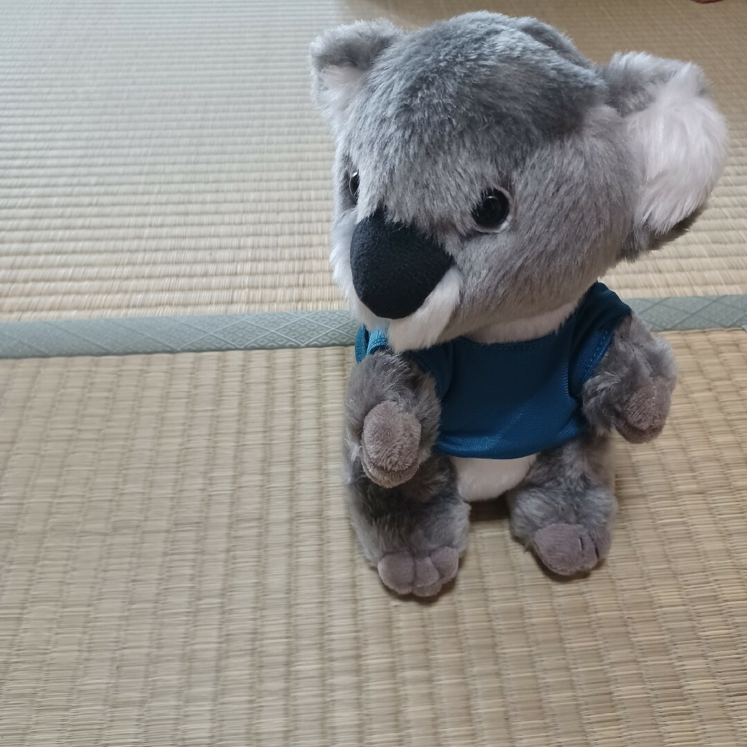 koala エンタメ/ホビーのおもちゃ/ぬいぐるみ(ぬいぐるみ)の商品写真