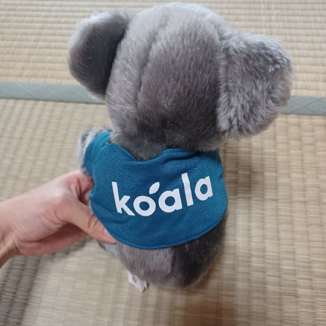 Koala - Los Angeles Zoo and Botanical Gardens