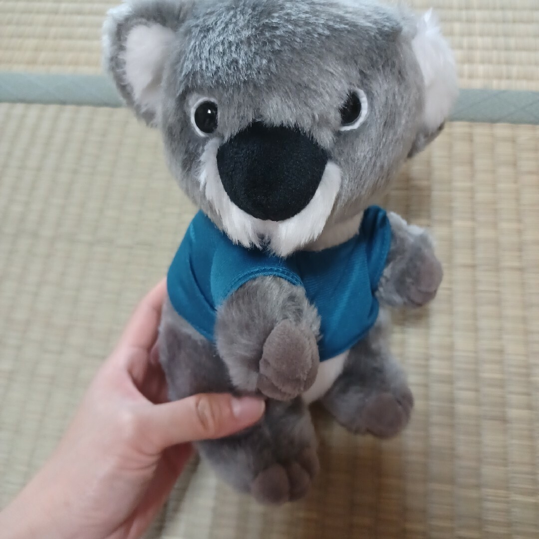 koala エンタメ/ホビーのおもちゃ/ぬいぐるみ(ぬいぐるみ)の商品写真