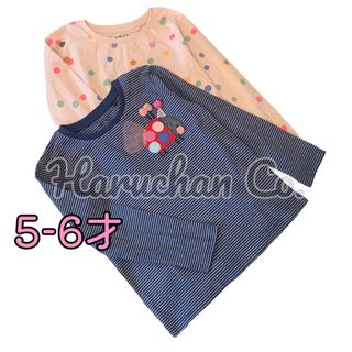 ネクスト(NEXT)の●未使用●5-6才　てんとう虫　ドット柄　ロンT セット(Tシャツ/カットソー)