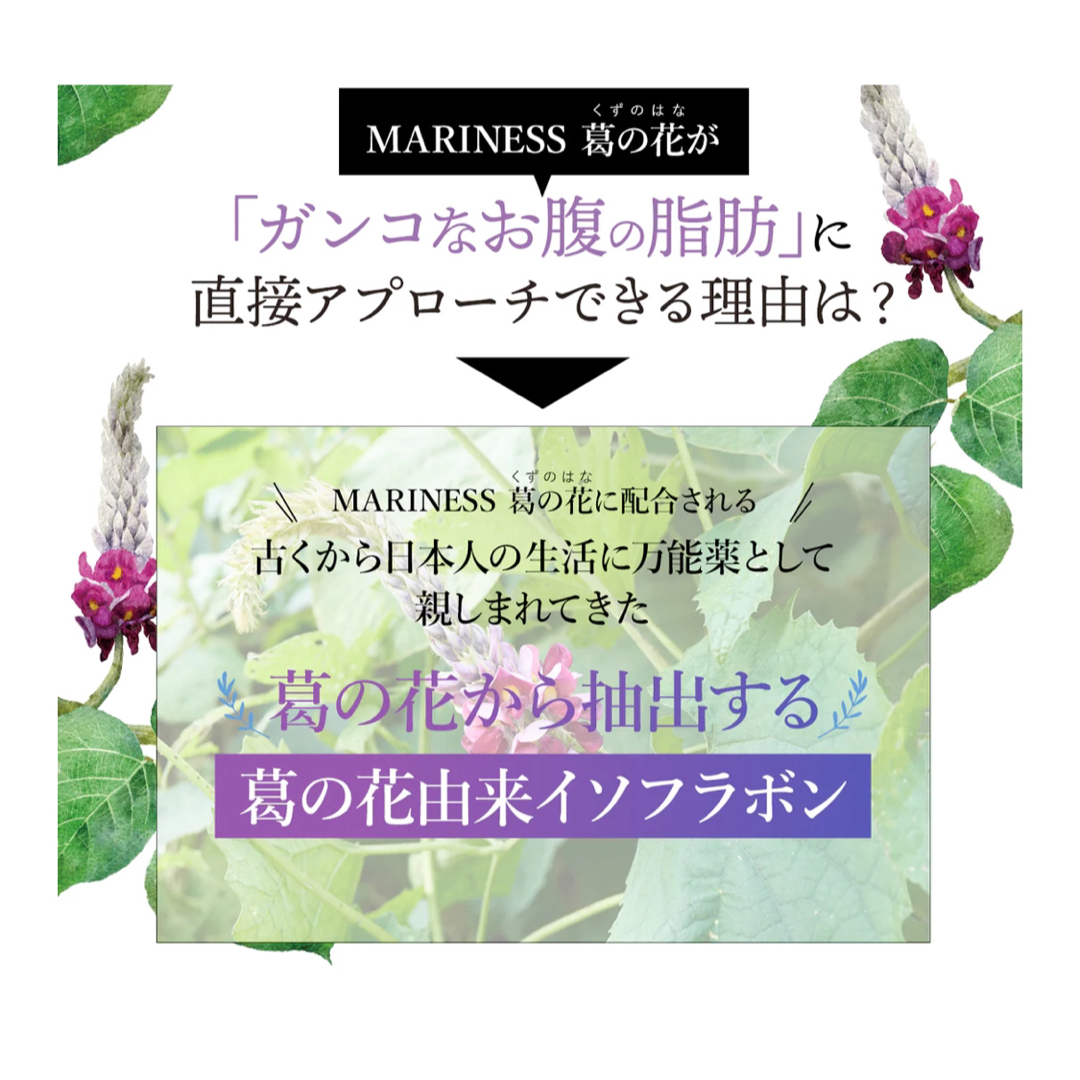 お値下げ★ マリネスサプリ 葛の花  コスメ/美容のダイエット(ダイエット食品)の商品写真