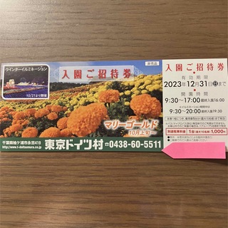 reina様　専用　東京ドイツ村　チケット(その他)