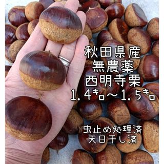 秋田県産 無農薬  西明寺栗(フルーツ)