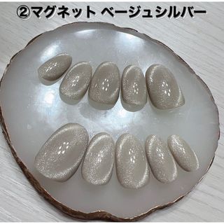 ②ネイルチップ ハンドメイド マグネット ベージュシルバー