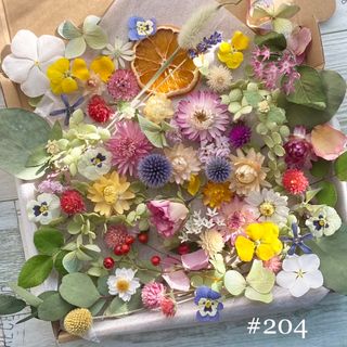 No.204❇︎ドライフラワー花材セット❇︎L❇︎ヘッドのみ&茎付きアソート(ドライフラワー)