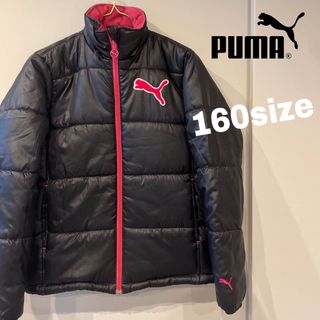 プーマ(PUMA)の【美品】PUMA アウター　ダウン　中綿(ジャケット/上着)