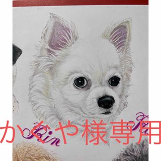 ★かぐや様専用　　チワワちゃん　イラスト　似顔絵　色鉛筆画　パステル画　オーダー(アート/写真)