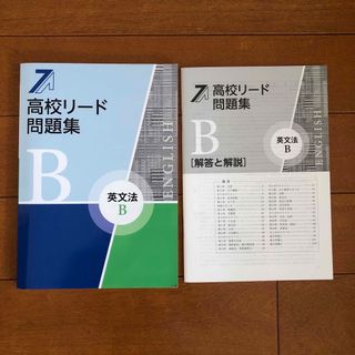 高校リード問題集　英文法B(語学/参考書)