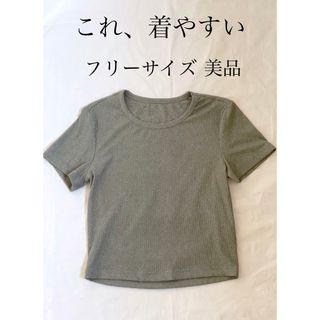 Tシャツ クロップド 短め トレンド 古着 美品 SHEIN シーイン (Tシャツ(半袖/袖なし))