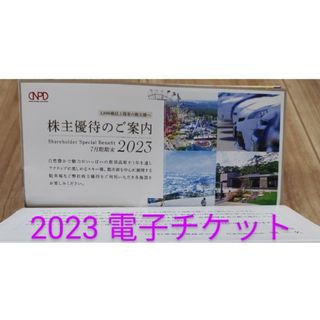 2023 日本駐車場開発 電子チケット　株主優待券(その他)