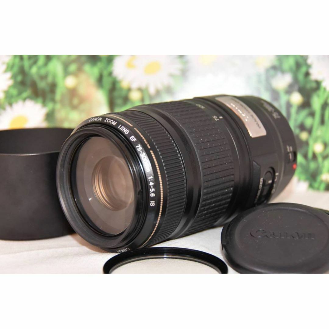 ❤️美品❤️Canon EF 75-300mm IS USM❤️超望遠❤️人気 ❤️美品❤️Canon EF 75-300mm IS USM❤️超望遠❤️人気