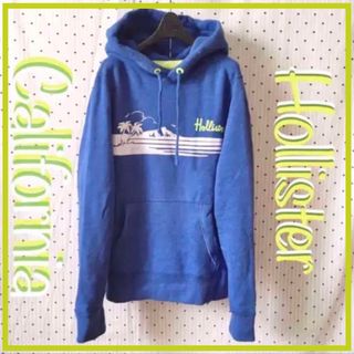 ホリスター(Hollister)のHollisterホリスターUS限定日本未入荷フーディープルパーカー１点物(パーカー)