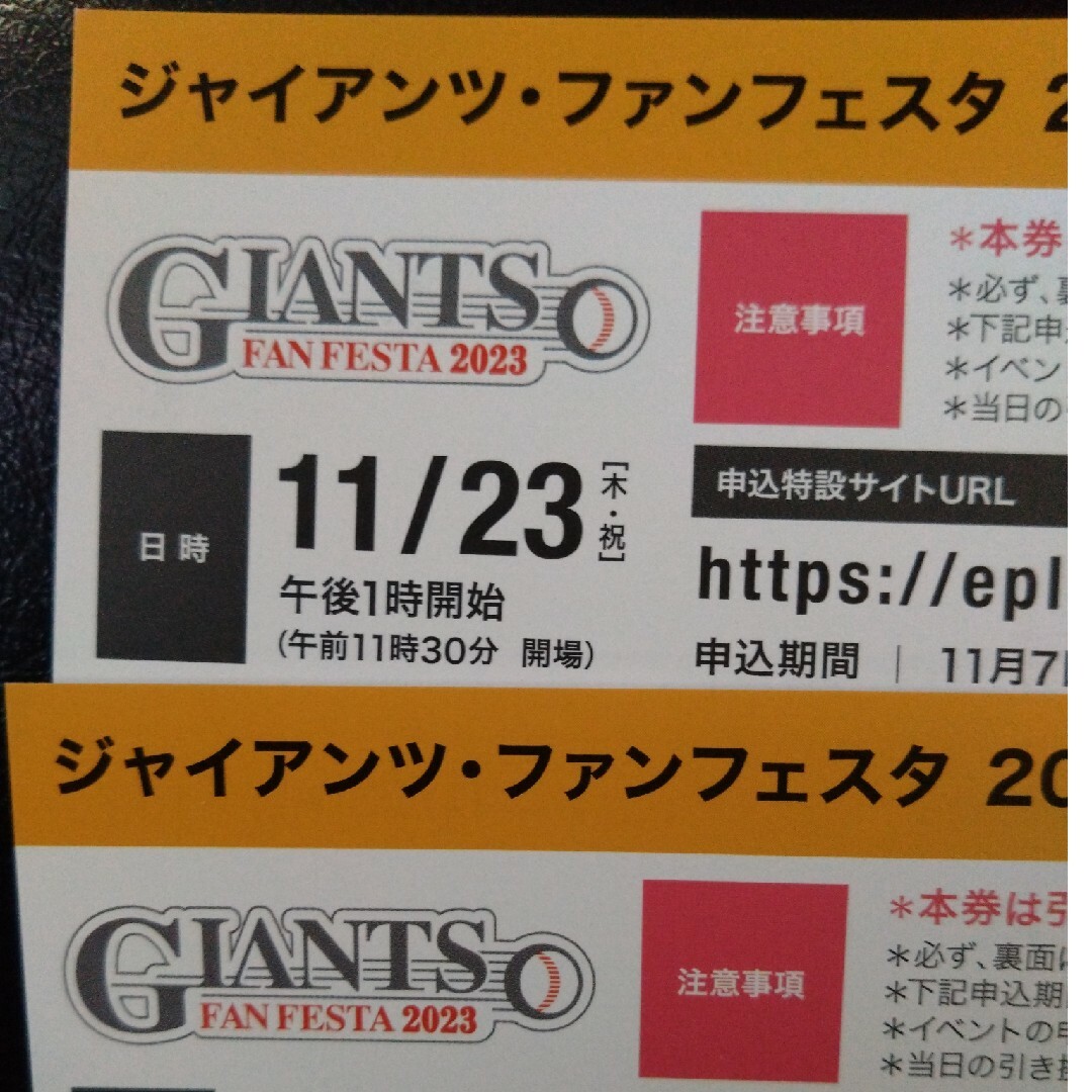 ジャイアンツ・ファンフェスタ2023事前引換券×２枚。イベント