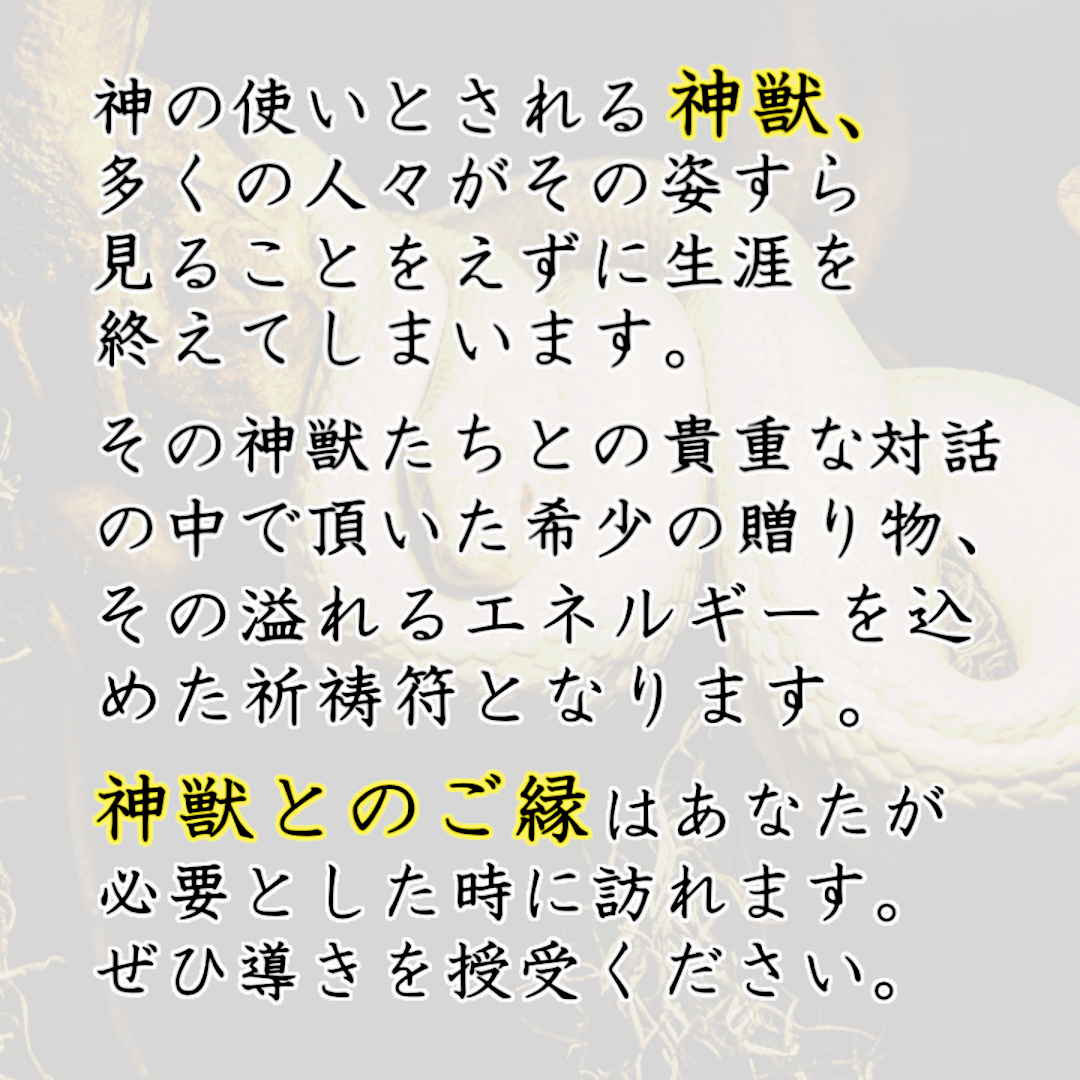 【白蛇の身守護】身代わり 護身 除霊 結界 縁切り縁結び 霊視占い 金運お守り