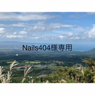 Nails404様専用ページ(デコパーツ)