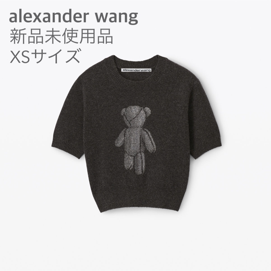 Alexander Wang(アレキサンダーワン)の■ Alexander Wang beiress ショートスリーブ セーター ■ レディースのトップス(ニット/セーター)の商品写真