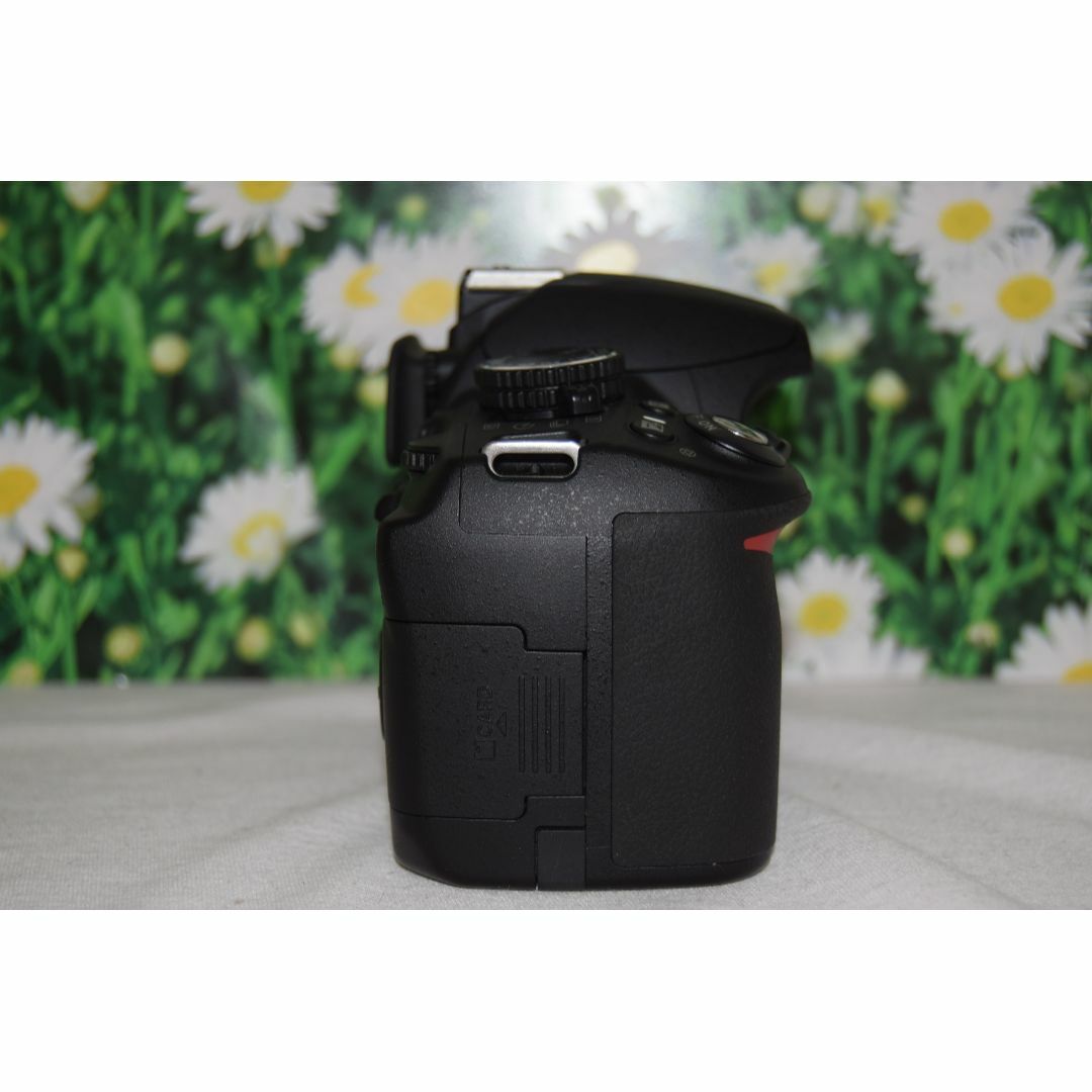 美品】Nikon D3100 ダブルズームキット❤スマホへ転送可能❤ 美品】Nikon D3100 ダブルズームキット❤スマホへ転送可能❤