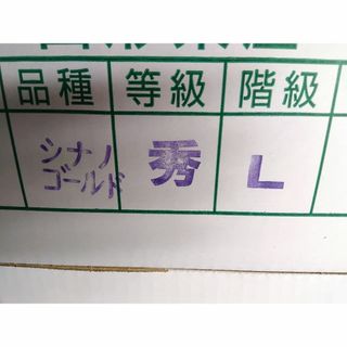 訳アリ！山形県産りんご（シナノゴールド）約１０kg　ご家庭用で(フルーツ)