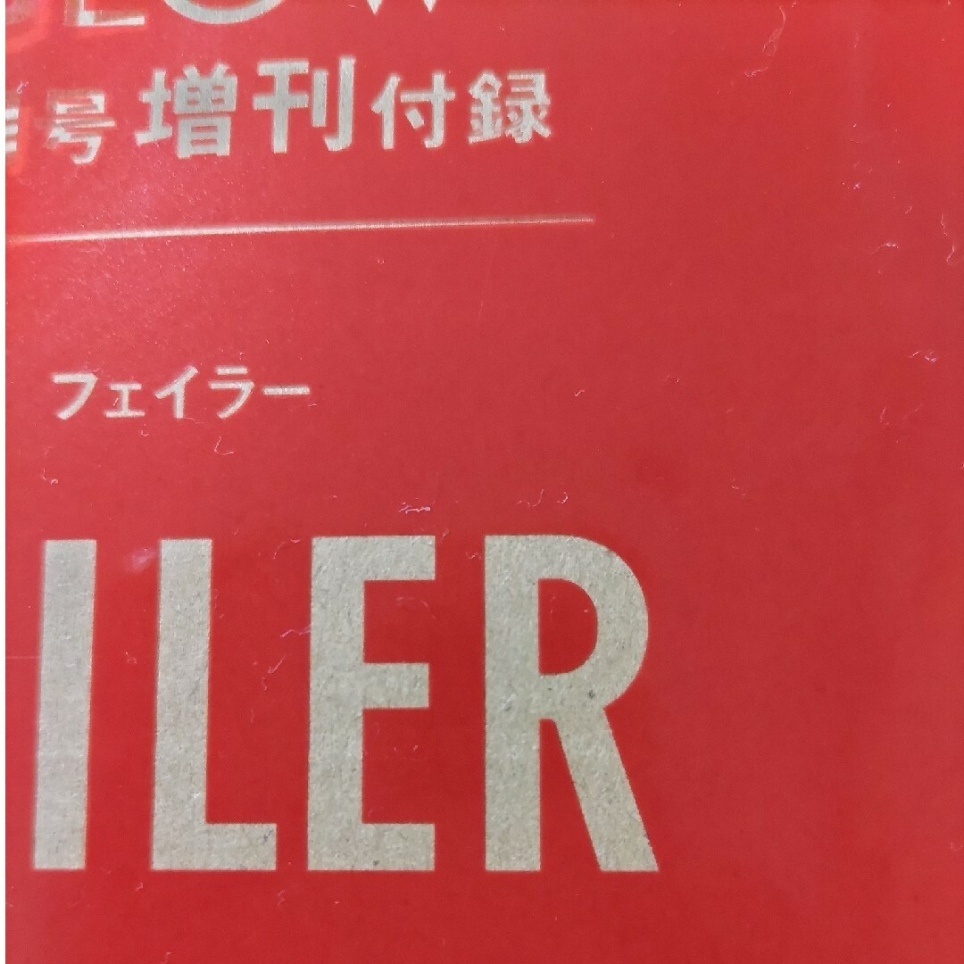 FEILER(フェイラー)の新品Glow付録手帳 メンズのファッション小物(手帳)の商品写真