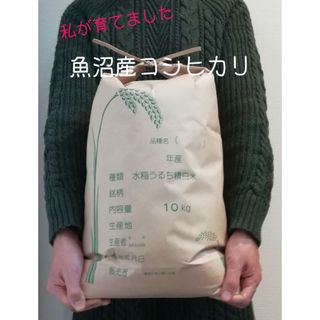 お米10kg 令和4年魚沼産コシヒカリ白米(米/穀物)