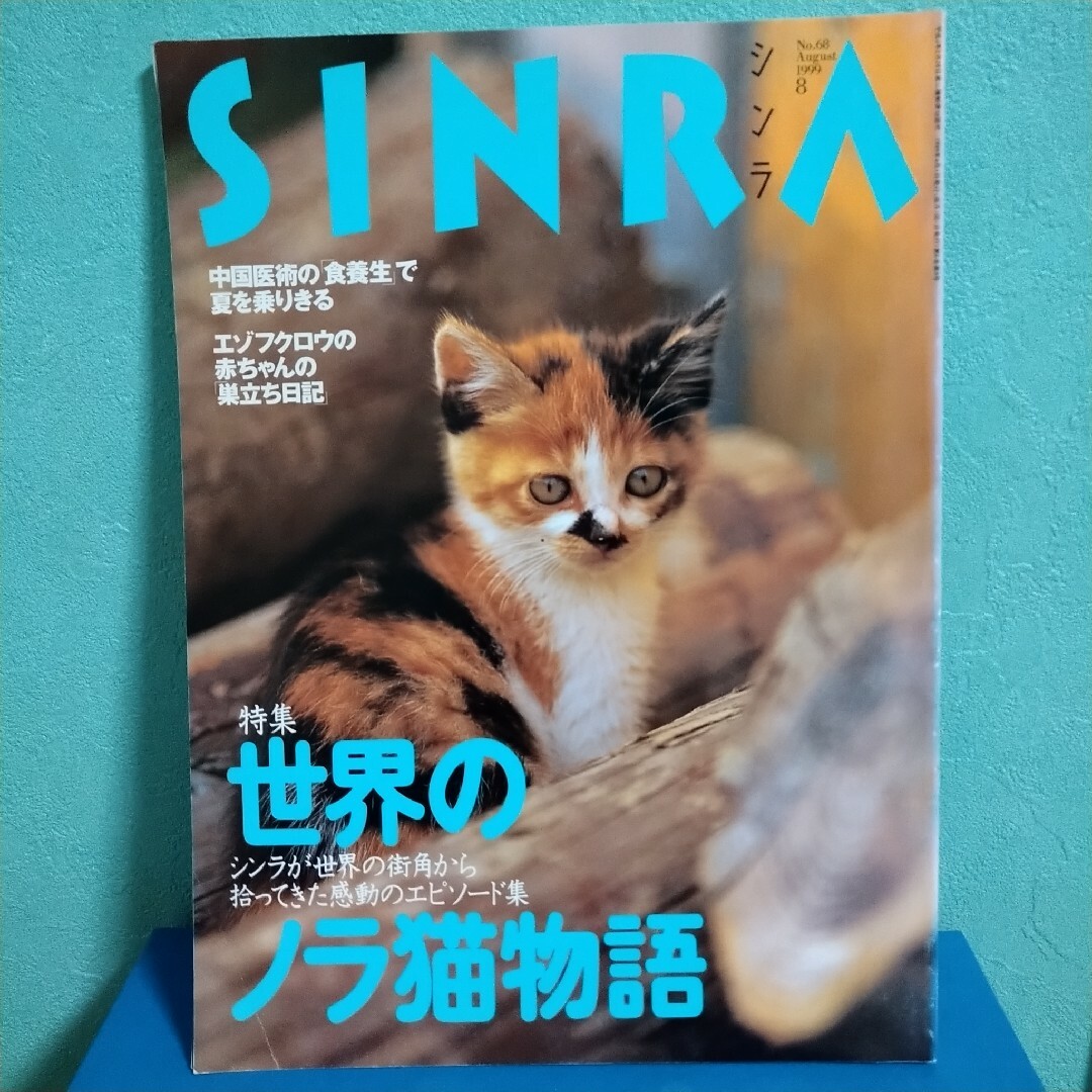 新潮社(シンチョウシャ)のCINRA シンラ 1999年8月号 世界のノラ猫物語 岩合光昭 エンタメ/ホビーの本(アート/エンタメ)の商品写真