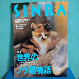 シンチョウシャ(新潮社)のCINRA シンラ 1999年8月号 世界のノラ猫物語 岩合光昭(アート/エンタメ)