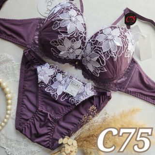 №247【C75】ナルシサスエンブロイダリーブラジャー&フルバックショーツ(ブラ&ショーツセット)