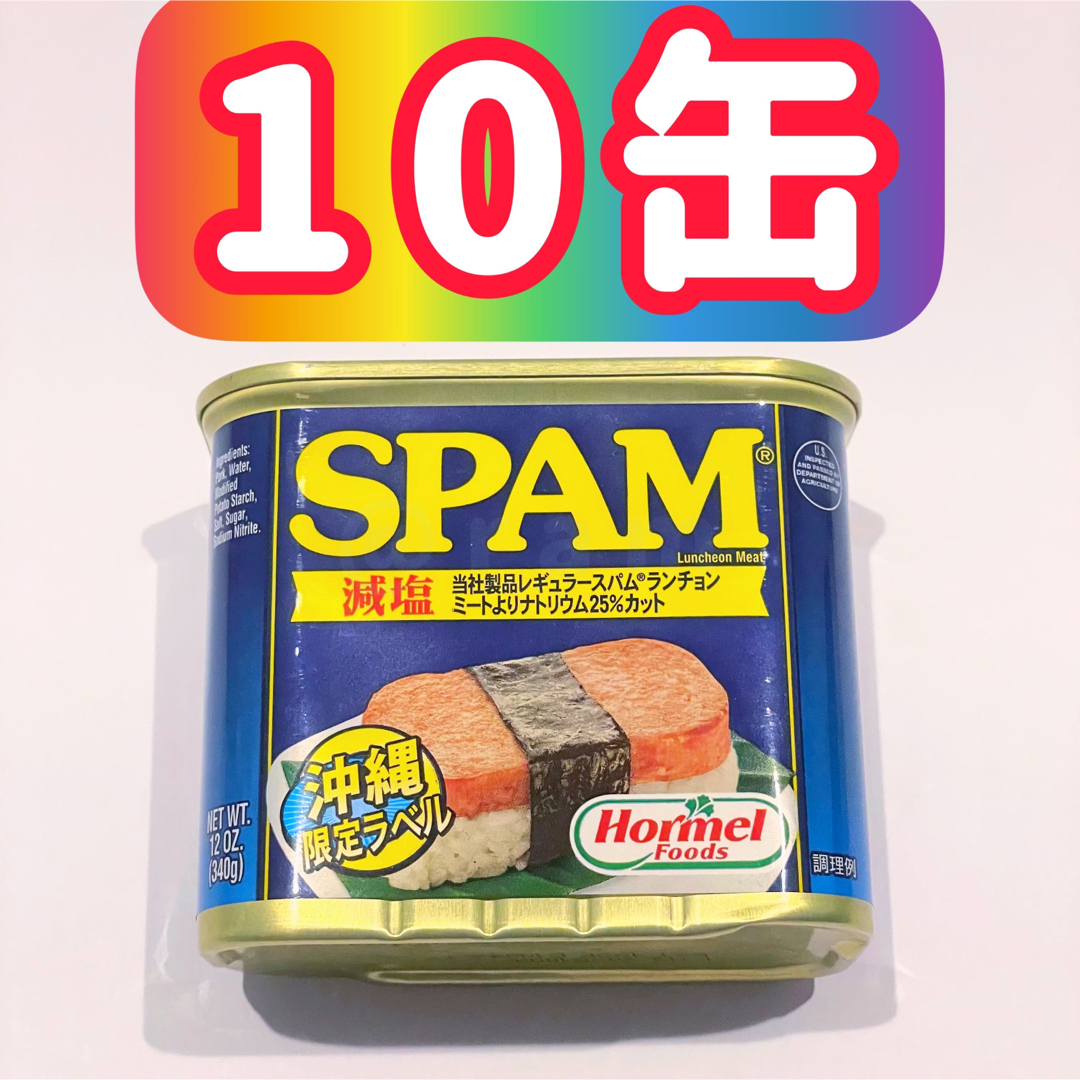 スパムランチョンミート 340g 減塩 10缶セット - 肉類(加工食品)