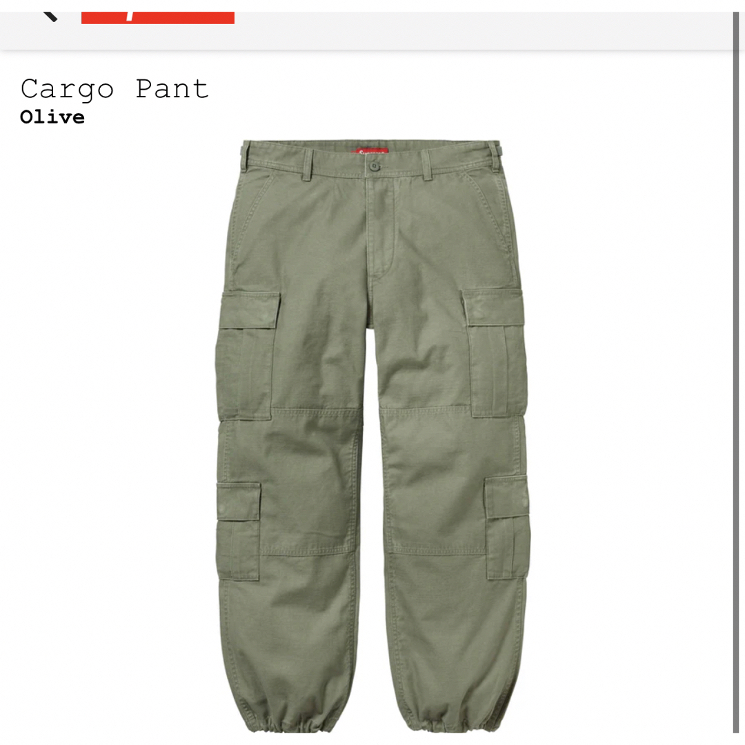 supreme cargo pant 30