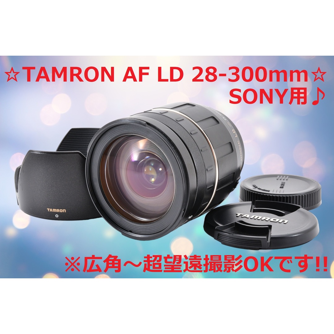 SONY - ☆美品☆ SONY 用 TAMRON AF 28-300mm LD #6216の通販 by 毎日