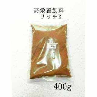 高栄養飼料 メダカ餌 リッチB 400g アクアリウム 熱帯魚 グッピー(アクアリウム)