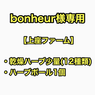 【bonheur様専用】乾燥ハーブ(おためし12種類)・ハーブボール1個(その他)