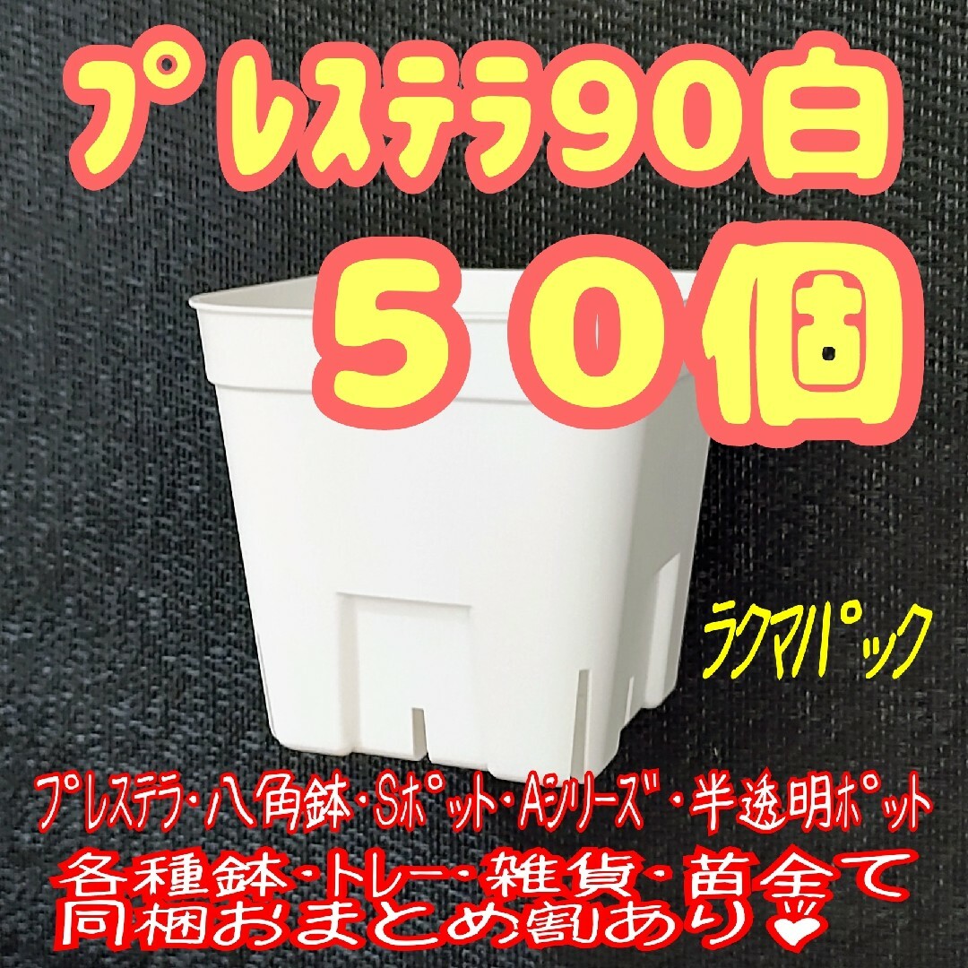 【スリット鉢】プレステラ90白50個 多肉植物 プラ鉢-ラクマパック- ハンドメイドのフラワー/ガーデン(プランター)の商品写真