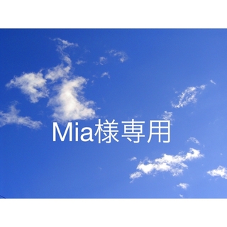 【Mia様専用】オーダー　スマホショルダー(スマホストラップ/チャーム)