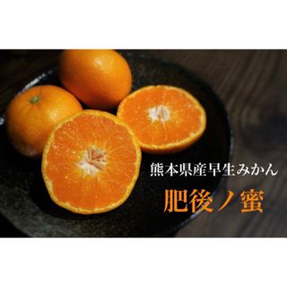 早生みかん　肥後ノ蜜　熊本県産　箱込み5kg(フルーツ)