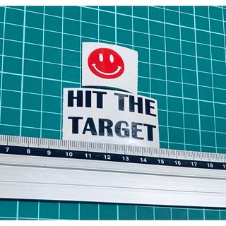 HIT the TARGETステッカー（色変更可能）(トイレ収納)