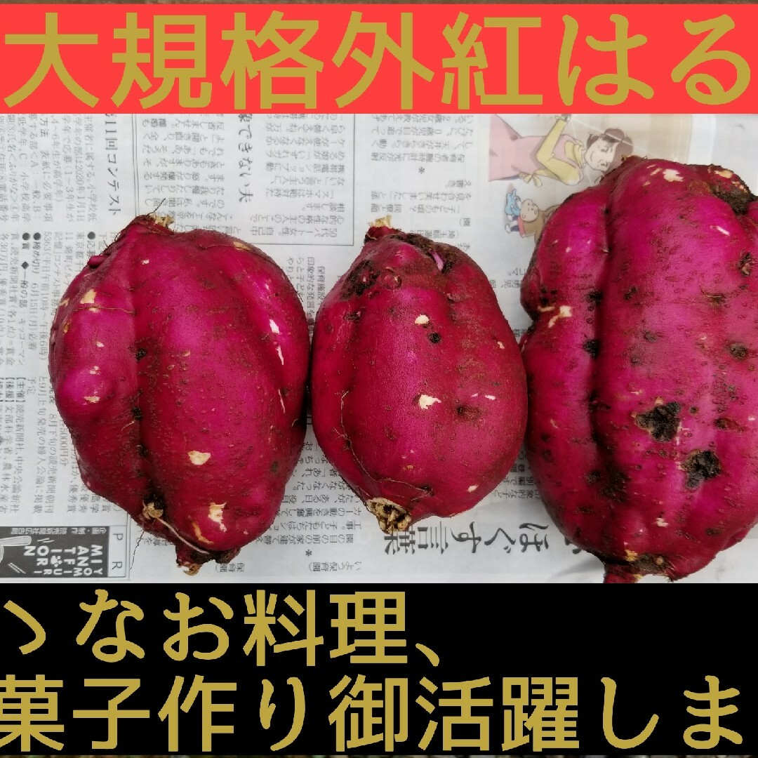 9.5㌔R5年訳ありBC級品です茨城県紅はるか手のひらサイズ細長い、折れているも 食品/飲料/酒の食品(野菜)の商品写真