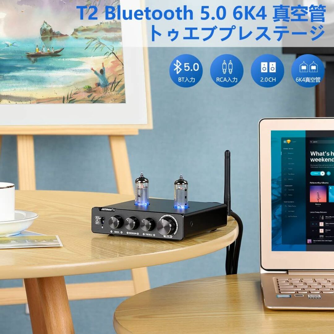 オーディオ機器【色: 黒】AIYIMA T2  upgrade  Bluetooth5.0 真