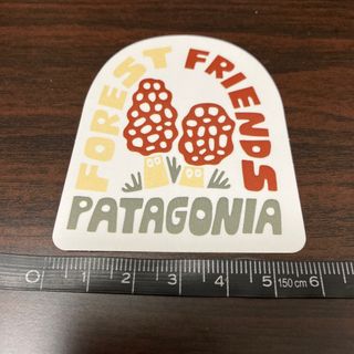 パタゴニア(patagonia)のパタゴニアステッカー(登山用品)