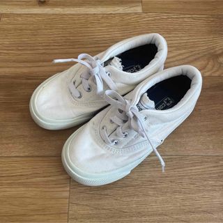 コンバース(CONVERSE)のコンバース　キッズ　スニーカー　17cm  (スニーカー)