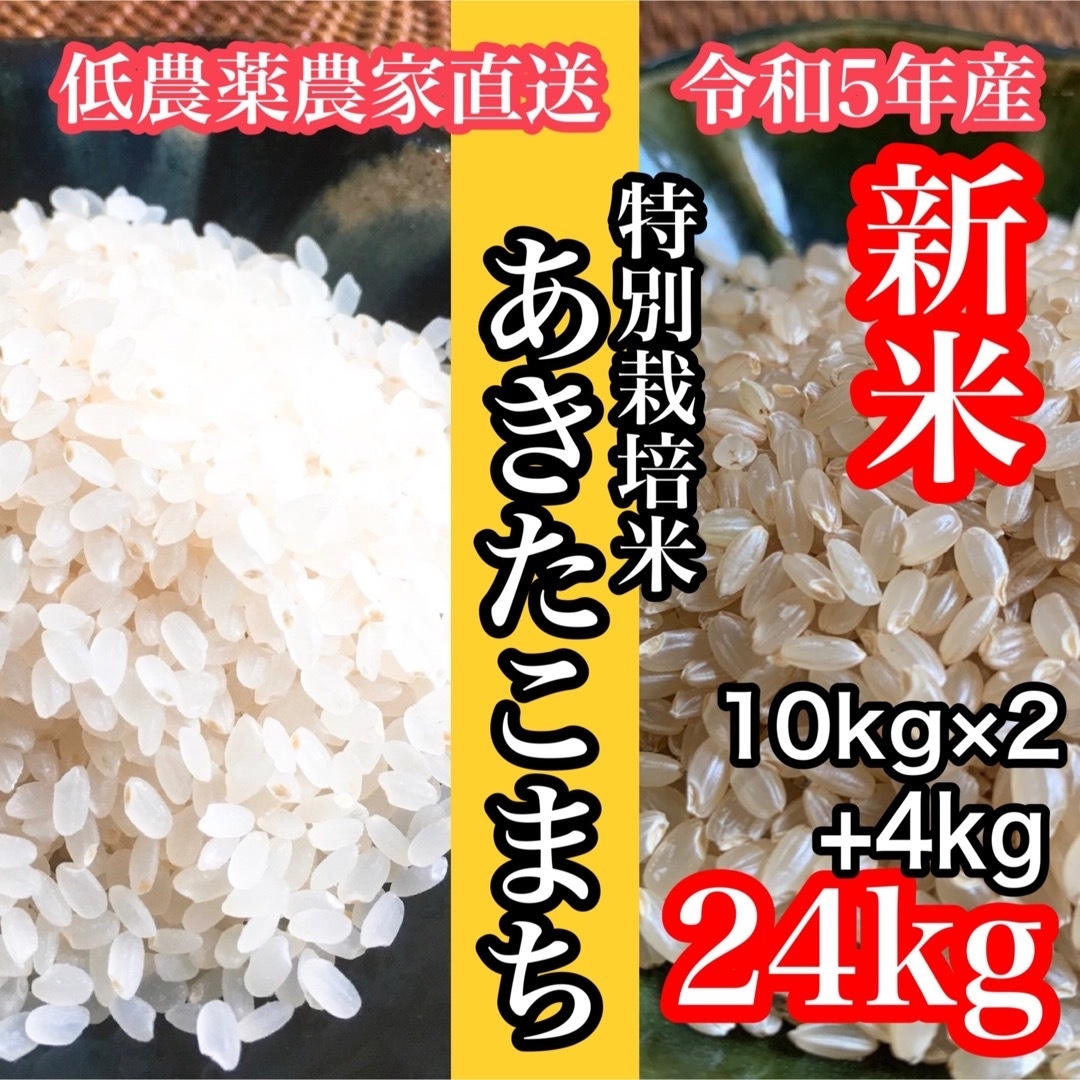 令和5年産　米　玄米　あきたこまち　新米　24kg