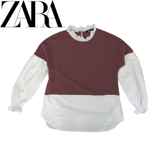 ザラ(ZARA)のZARA パープル ホワイト ドッキング ニット シャツブラウス(シャツ/ブラウス(長袖/七分))