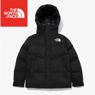 ザノースフェイス(THE NORTH FACE)のノースフェイス ダウンジャケット フリームーブ  メンズ レディース  L(ダウンベスト)