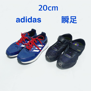 アディダス(adidas)の【adidas・瞬足】男の子スニーカー2足セット（20cm）(スニーカー)