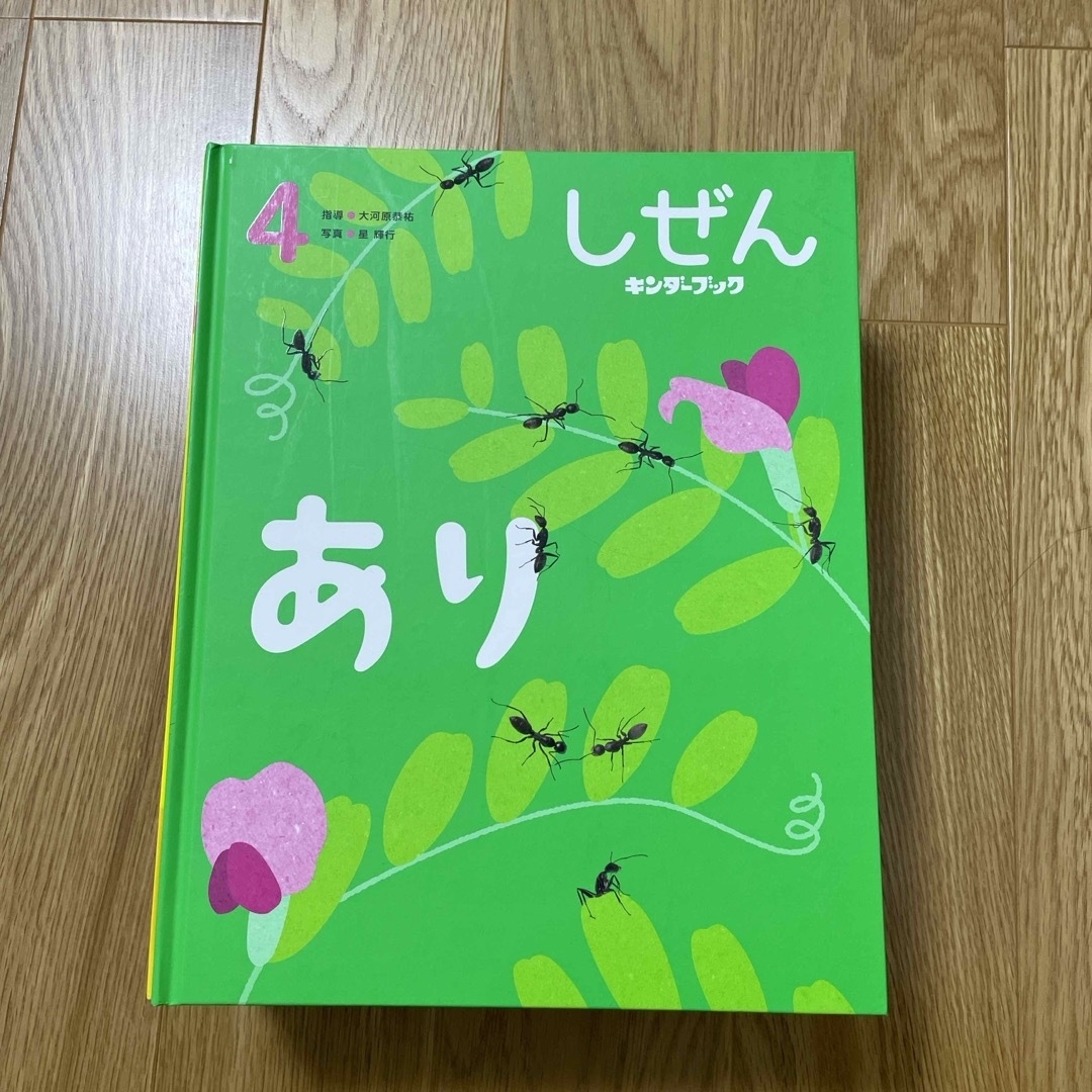 キンダーブック　しぜん　12冊セット エンタメ/ホビーの本(絵本/児童書)の商品写真