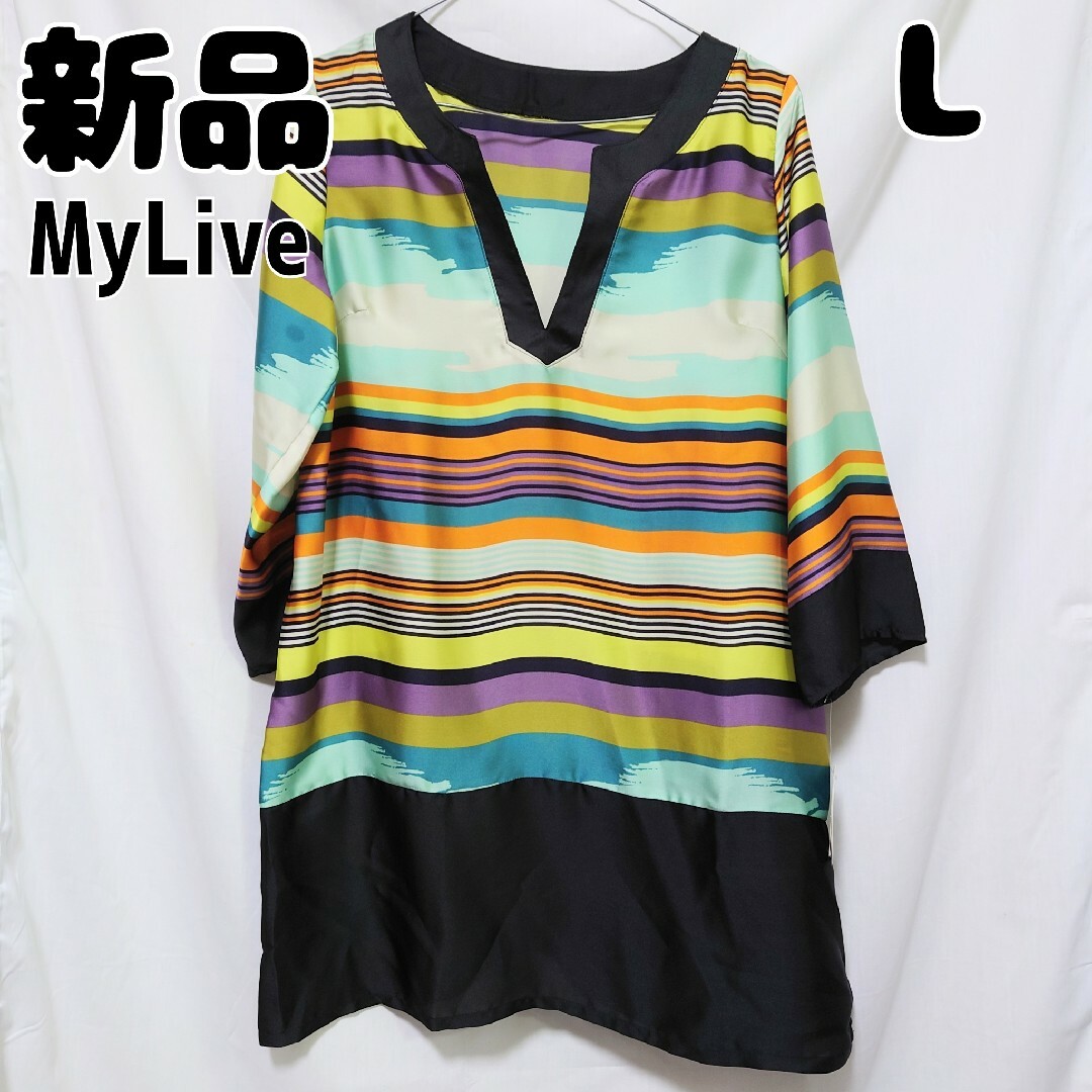 cecile(セシール)の新品 未使用 MyLive ボーダーチュニック L マルチカラー 黒 レディースのトップス(チュニック)の商品写真