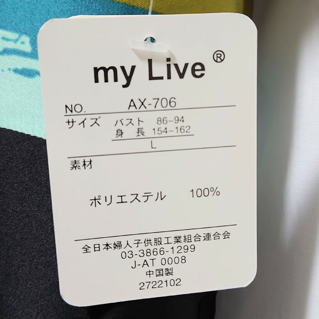 cecile(セシール)の新品 未使用 MyLive ボーダーチュニック L マルチカラー 黒 レディースのトップス(チュニック)の商品写真