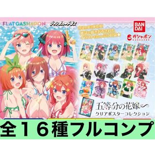 嫌な顔されながらおパンツ見せてもらいたい2 メガタペ テニス少女の