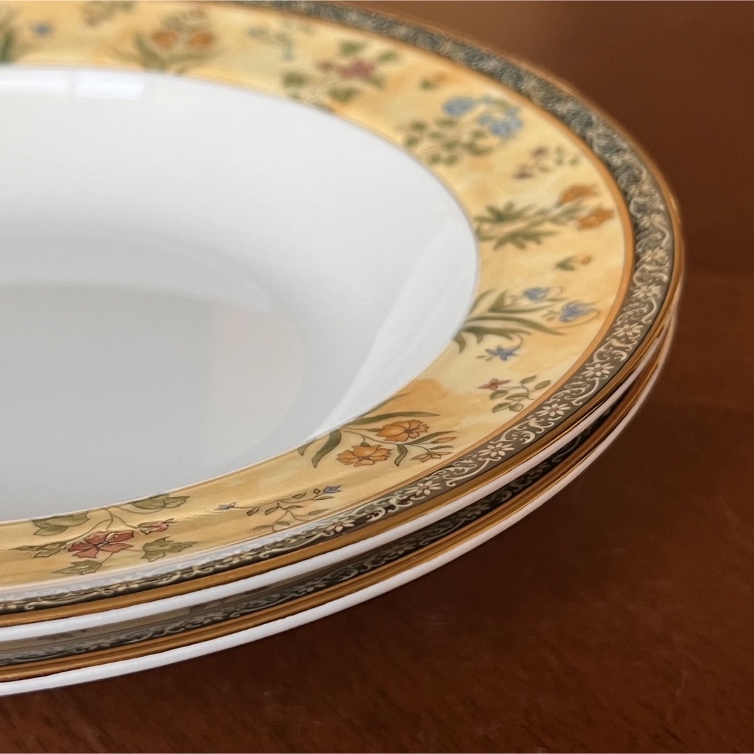 WEDGWOOD - 【レア美品】ウェッジウッド☆インディア☆深皿 2枚 WEDGWOOD - 【レア美品】ウェッジウッド☆インディア☆深皿 2枚