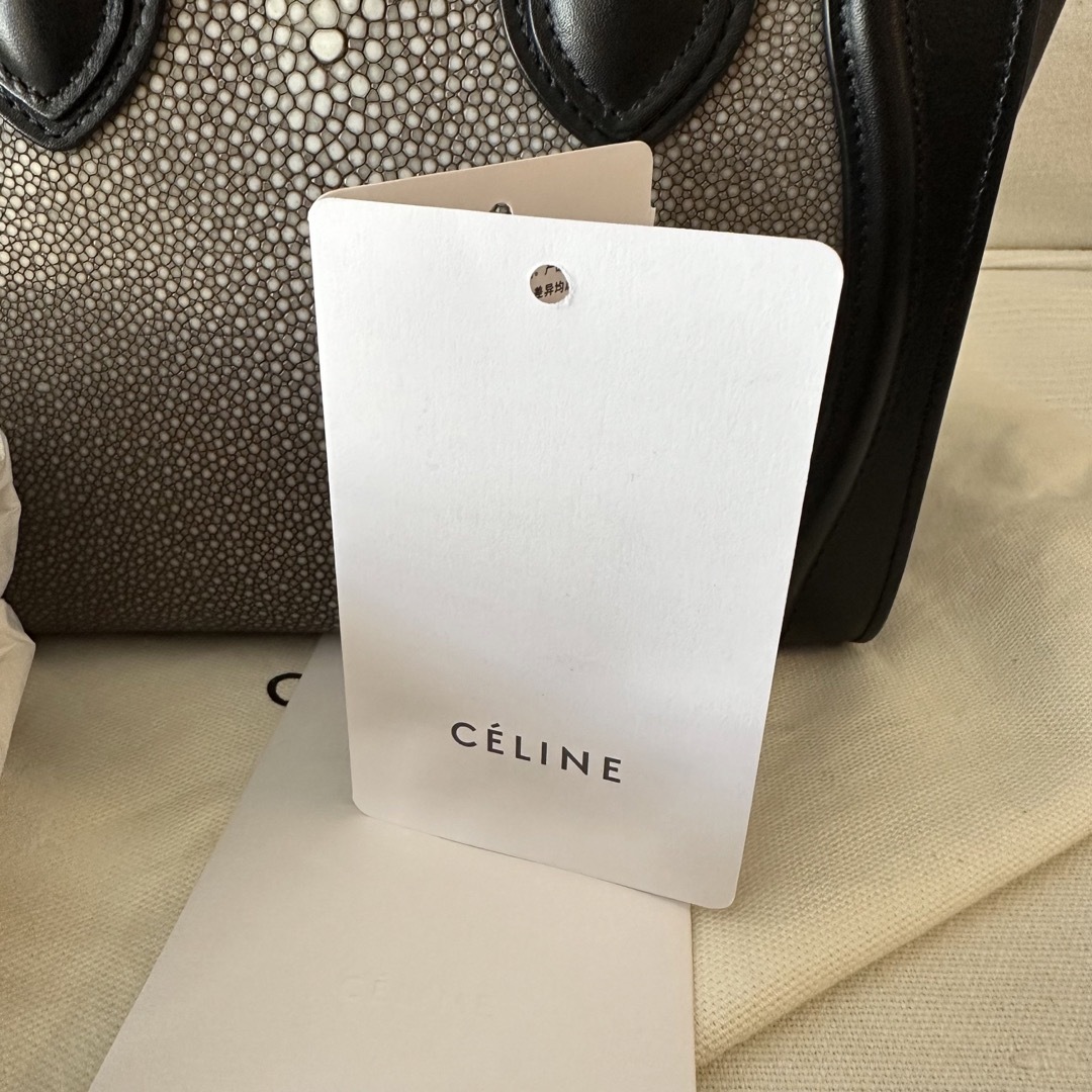 celine(セリーヌ)の激レア✨セリーヌラゲージナノ　ガルーシャ美品 レディースのバッグ(ハンドバッグ)の商品写真
